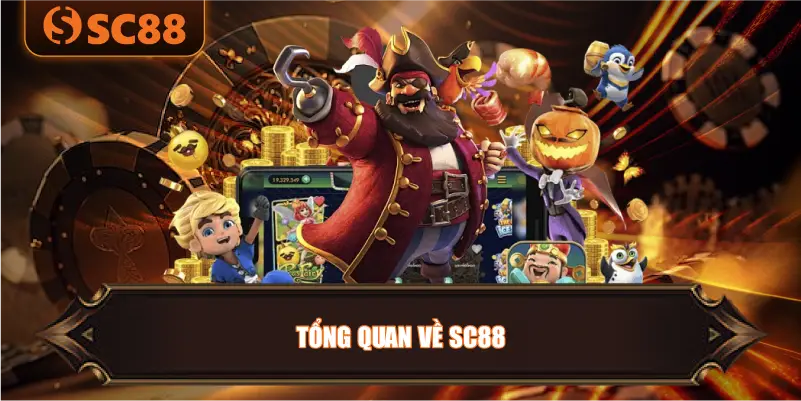 tổng quan về SC88